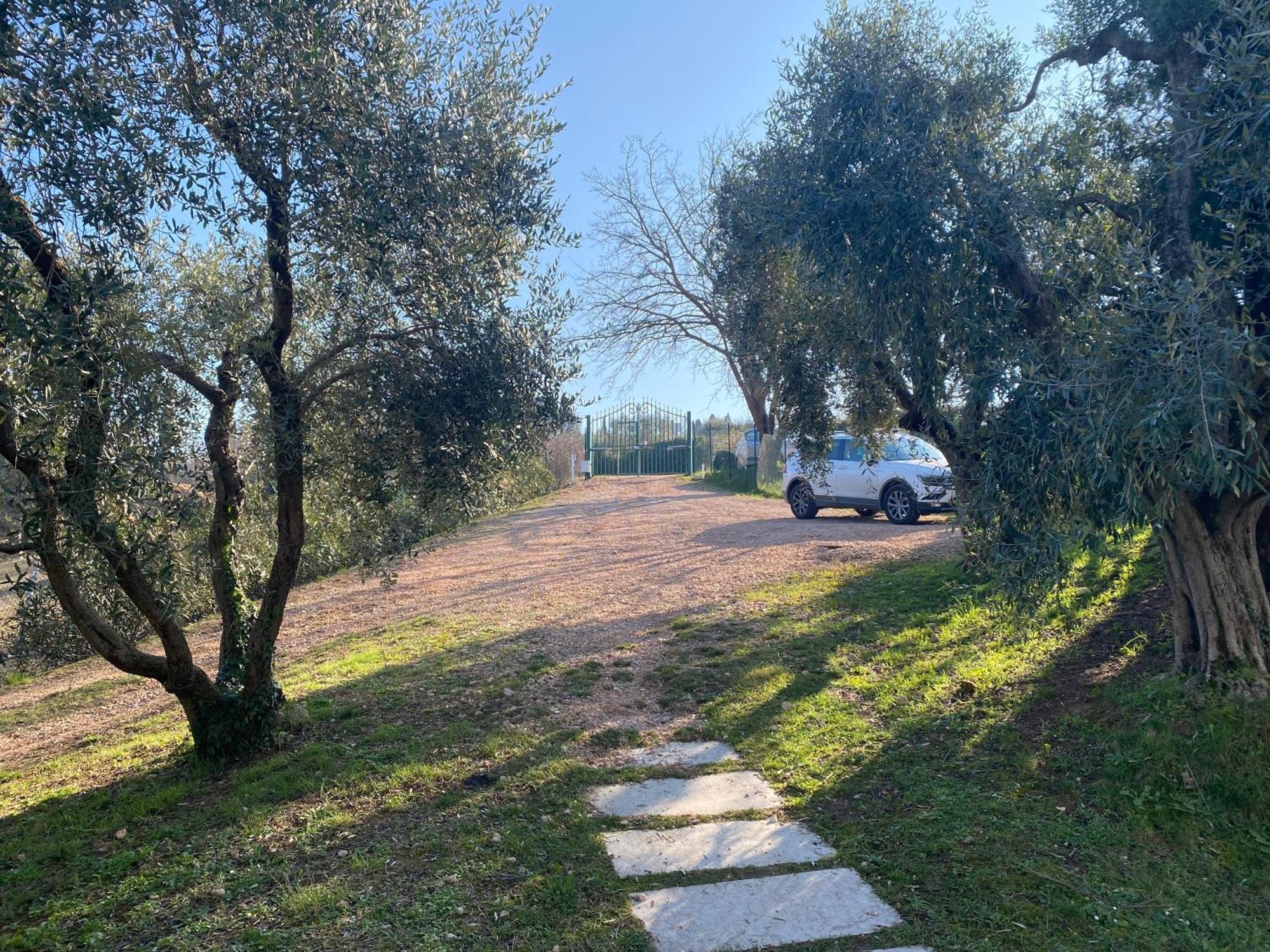 Residenza Cipressi E Olivi Daire Verona Dış mekan fotoğraf